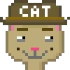 Catsonchain