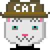 Cat #342