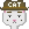 Catsonchain