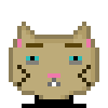 Cat #728
