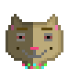 Cat #637
