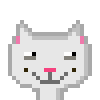 Cat #305
