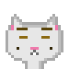 Cat #64