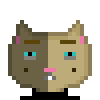 Cat #864