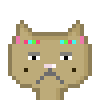Cat #611