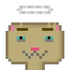 Cat #106