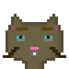 Cat #889