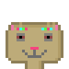 Cat #874