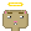 Cat #456