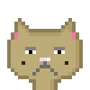 Cat #216