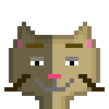 Cat #431