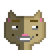 Cat #800