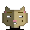 Catsonchain