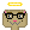 Cat #455