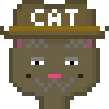 Cat #453