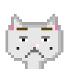 Cat #124