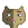 Cat #62