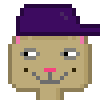 Cat #871