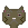 Cat #804