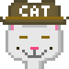 Cat #329