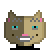 Cat #428