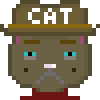 Cat #370