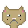Cat #252
