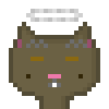 Cat #893