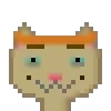 Cat #910