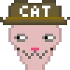 Cat #153