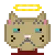 772