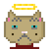 Cat #772
