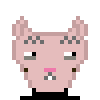 Cat #495