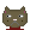 Cat #668
