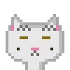Catsonchain