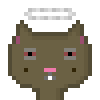 Cat #719