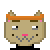 Cat #601