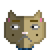 Cat #912