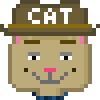 Cat #297