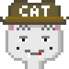 Catsonchain