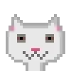 Cat #441