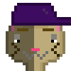 Cat #851