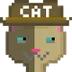 54