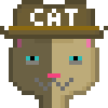 Cat #54