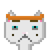 Cat #615