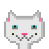 Cat #543
