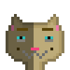 Cat #68