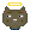 Cat #205
