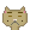 Catsonchain