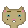 Catsonchain